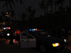 LAPD and LASD on scene
