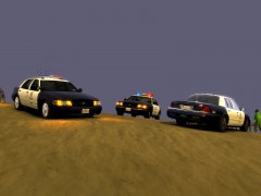 LAPD Fleet