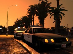 LAPD officers on the scene