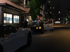 LAPD Traffic Stop