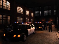 Officer Needs Assistance