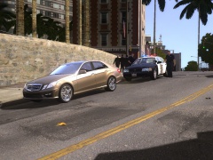LAPD Traffic Stop