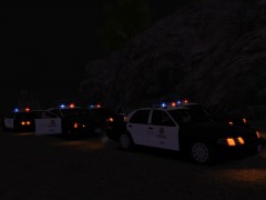 Officer Needs Assistance