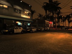 Officer needs assistance call