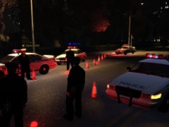 DUI checkpoint in RP