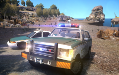 Bronco comes out of retirement