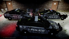 The Wolves Come Out When The Lights Go Off!!!