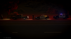 The Oak Beach County Sheriff in Action!