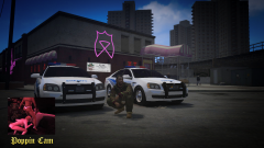 Poppin in Liberty City