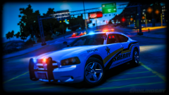 LCSO Charger Posing