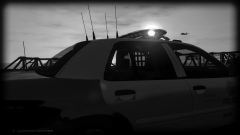LAPD B&W