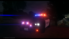 Bright Lights Is Enticing!!