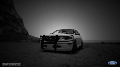 2010 Ford Taurus PPV