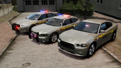LCSO - Skin Pack