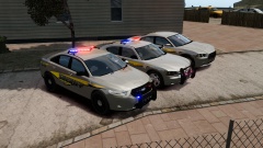 LCSO - Skin Pack