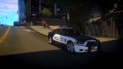 Liberty City Police