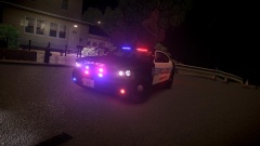 Liberty Police - UHQ