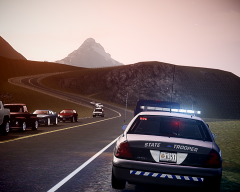 Traffic stop with the Vic