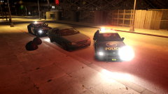 Traffic Stop
