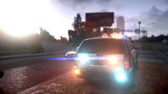 Riverside County Sheriff K9 Tahoe