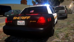 RSD K9 unit on a stop