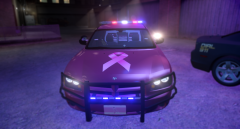 MCSO Breast Cancer Awareness 2008 K9 Dodge Charger