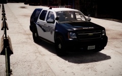Liberty City Police