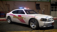 2010 Charger LCSO