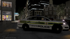 LC Flying Squad