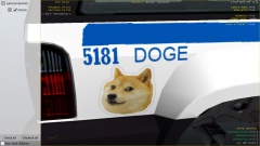 Best K9 skin EVAR