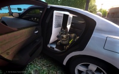 Charger Havis K9 insert W.I.P. with Dog