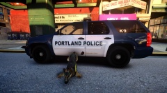 "Don't S*** on the Car!"