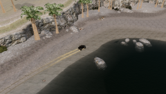 Canis Mesa 4x4 Driving in the Dirt