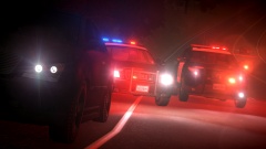 CHP And Wanted Person