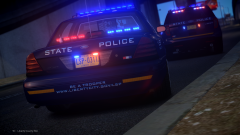 Liberty State Police