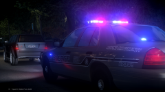 Liberty County Sheriff traffic stop