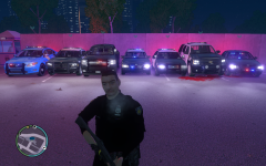 DigitalGamingUSA Police set up