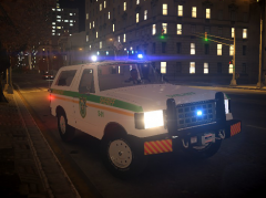 Old Bronco, New Graphics