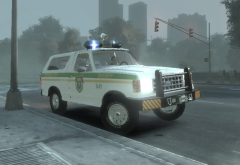 New Templated Brush Guard