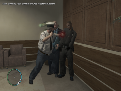 What you say about the FDLC punk?