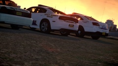 simillar but not simillar