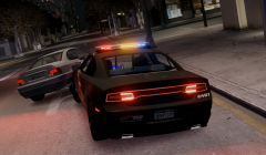 Precision Immobilization Technique