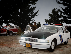Alaska State Trooper 1991 Chevrolet  Caprice
