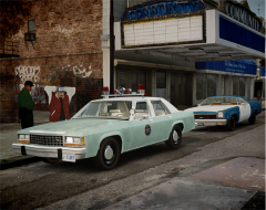 US Border Patrol Ford LTD
