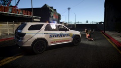 Emma Watson arrested with a hooker