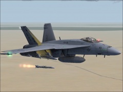 Intercept in Iraq