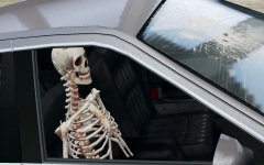 Skeleton Recovered In Abandoned Vehicle 1