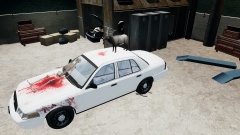 Oh deer, that doesn't look good!