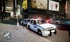 responding To domestic