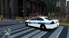 port authority In Its natural habitat